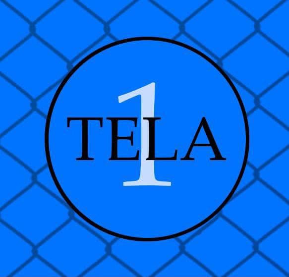 TELA1 Redes de Proteção